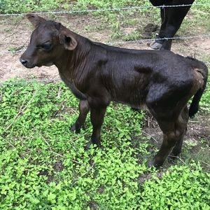 Meet your Posher, Dayne